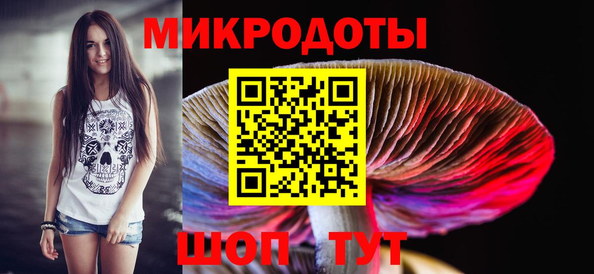 Псилоцибиновые грибы Psilocybe Холмск