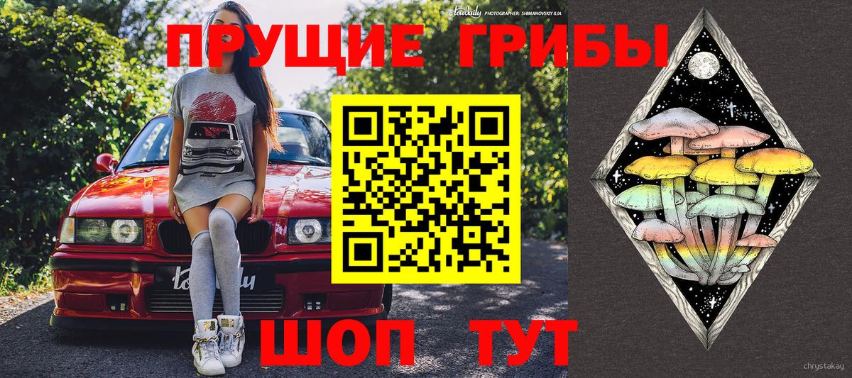 Холмск  Псилоцибиновые грибы Magic Shrooms  Вход с VPN 